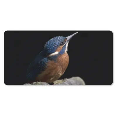 Produktbild von MuchoWow® Mauspad Mousepad Eisvogel - Zweig - Federn - Schwarz 60x30 cm - Mousepads - Maus Mat - Pad - Mausunterlage - Nachhaltig