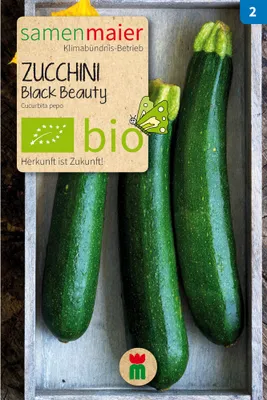 Produktbild von Zucchini Black Beauty - Saatgut für zirka 5 Pflanzen