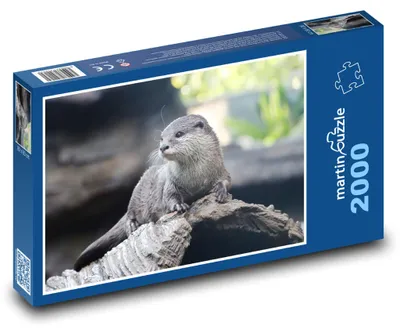 Obrázek produktu pro martinpuzzle - Puzzle 2000 - Vydra