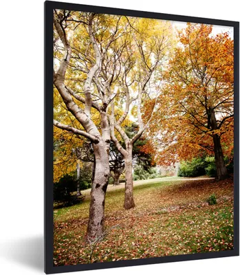 Produktbild von MuchoWow® Gerahmtes Poster Herbst - Bäume - Laub - Natur 60x80 cm - Poster mit Schwarzem Bilderrahmen Wandposter Rahmen Foto Bilder - Premium - Wanddeko Wohnzimmer