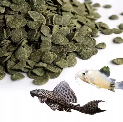 Obrázek produktu pro Krmivo pro ryby dna Algen Wafers Spirulina, tonoucí wafers pro sumce a krunýřovce, 1 kg
