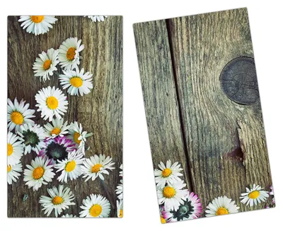 Produktbild von Spritzschutz Herdabdeckplatte Schneidebrett aus Glas Gänseblümchen auf Holz 2-Teilig (60x52cm)