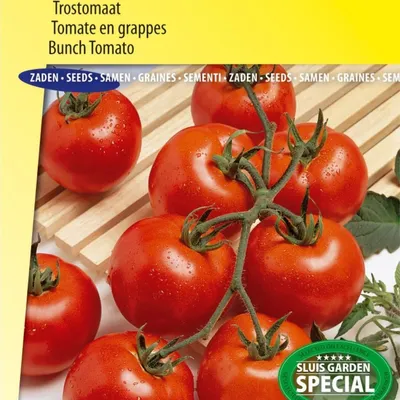 Image de Graines de tomates en grappe Vitador F1 – Cultivez des tomates en grappe sucrées et juteuses dans votre propre jardin – haute qualité pour une récolte abondante