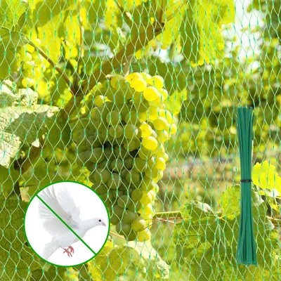 Productafbeelding van Vogelschutznet 4x6m, Engmazig Groen voor Tuin en Balkon