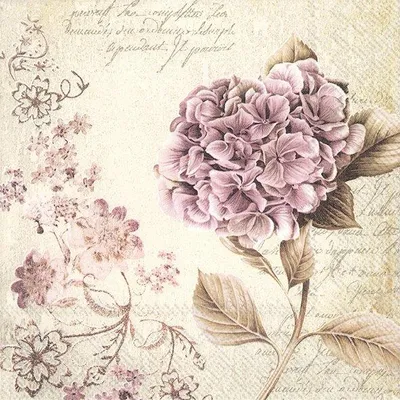 Produktbild von HELOISE linen Lunch-Servietten L 829366