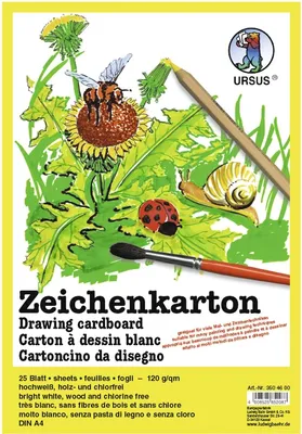 Produktbild von Zeichenkarton 120g/qm A4 VE=25 Blatt