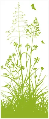 Produktbild von Wallario Memoboard Magnettafel aus Glas, Größe 32 x 80 cm, Motiv Grüne Sommerwiese