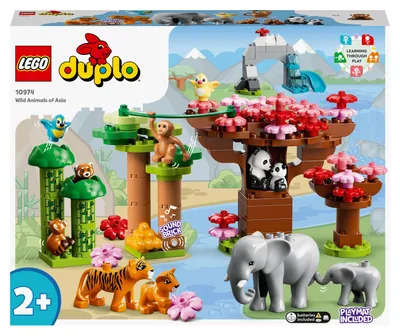 Image de LEGO 10974 DUPLO Animaux sauvages d'Asie Ensemble de jouets avec son