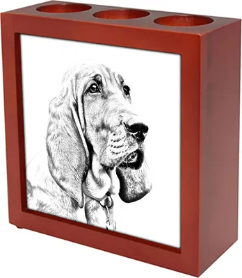 Obrázek produktu pro Art-Dog Stojánek na pera – Redbone Coonhound