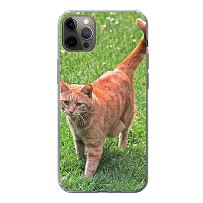 Produktbild von MuchoWow® Handyhülle Schutzhülle Hülle für iPhone 12 Pro Max Katze - Rot - Katze - Mädchen - Kinder - Jungen - Kind Silikon Softcase Handy Hülle - Hartschale