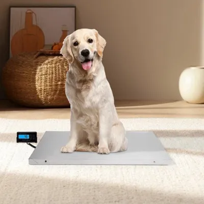 Obrázek produktu pro Digitální váha pro domácí zvířata – kapacita 300 kg – nerezová ocel – velké LCD displej – veterinární použití
