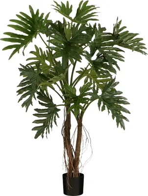Produktbild von Mica Decorations Philodendron Kunstpflanze - H140 x Ø110 cm - Grün