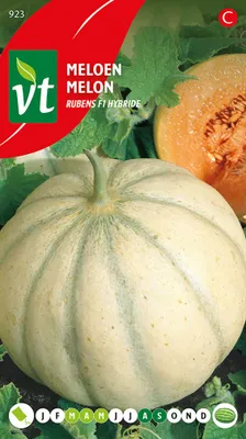 Obrázok produktu pre Melone Stellio F1 Hybrid Samen - Ca. 0,3 gr | VT_923