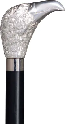 Produktbild von Frackstock ADLER mit Silberknauf