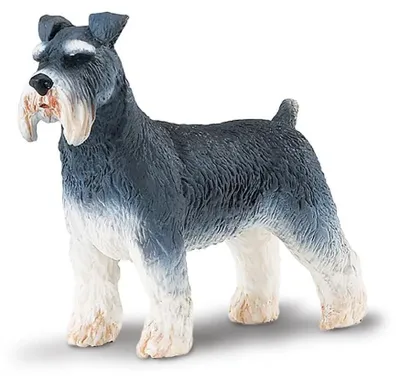 Image de Safari Ltd Figurine de schnauzer gris À partir de 3 ans Enfants Gris À partir de 3 ans