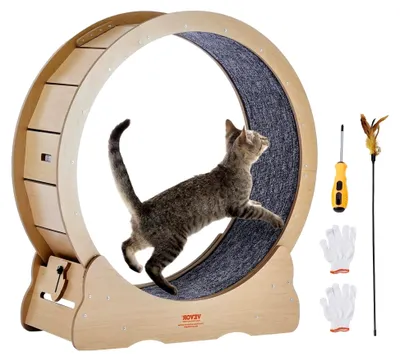 Produktbild von Katzenlaufrad, großes Katzenlaufband für Hauskatzen, 91 cm mit abnehmbarem Teppich und Katzenangel zum Laufen/Gehen/Trainieren, geeignet für Katzen bis 6 kg