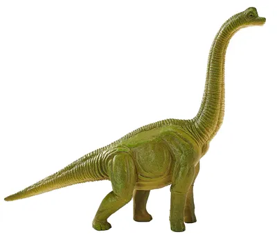 Immagine prodotto di Dinosauro giocattolo Mojo Brachiosaurus verde - 387212