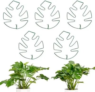 Produktbild von PolkaHome® 5-teiliges Monstera-Kletterstützen-Set – Stabile Eisenpflanzenstützen, 50 cm, 18 x 16 cm