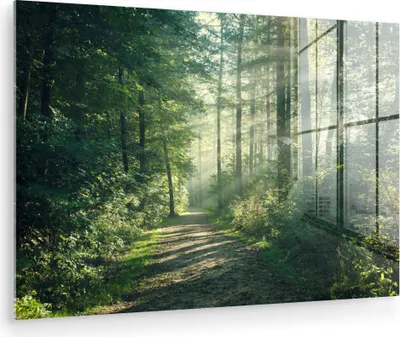 Produktbild von MuchoWow Glasbilder - Bilder auf Wandbild - Foto auf Glas Wald - Weg - Sonne - Bäume - Grün - Natur 120x80 cm Wanddekoration aus Glas - Acrylglasbild - Acrylbilder - Abbildung