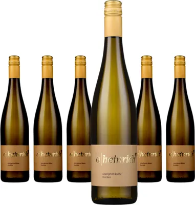 Produktbild von 6 x Weingut Alexander Heinrich Sauvignon Blanc trocken