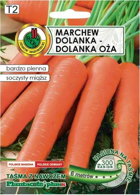 Obrázek produktu pro Mrkev Dolanka 6m páska s hnojivem Platnacote pozdní odrůda