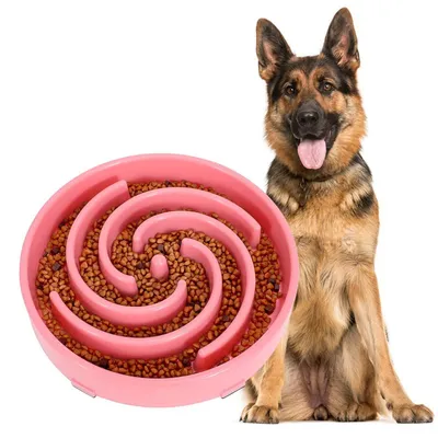 Immagine prodotto di Ciotola per cani, alimentazione lenta, antischling, interattiva, rosa, 24,4 cm, plastica PP
