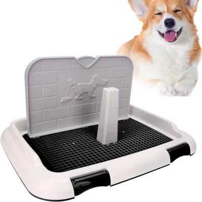 Produktbild von Hundetoilet Trainingsset mit Wandsimulation, für Welpen, Indoor-Nutzung