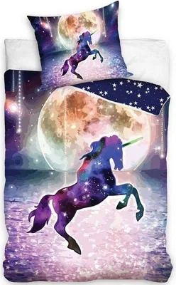 Produktbild von Baumwollbettwäsche 160x200 Einhorn Mond Sterne