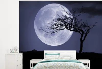 Produktbild von MuchoWow® Fototapete für Wohnzimmer oder Schlafzimmer Wandtapete Vinyl Motivtapete Mond - Baum - Schwarz - 325x260 cm - Tapete