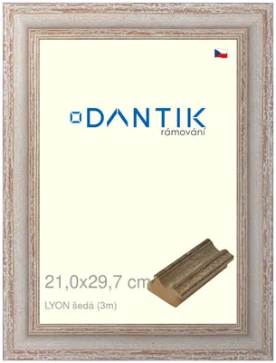 Obrázok produktu pre Rám DANTIK 21x29,7 | LYON sivá (sklo číre)