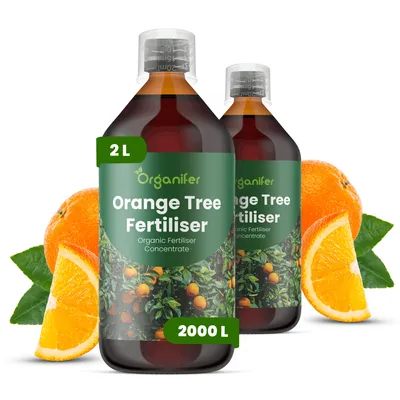 Produktbild von Orangenbaum Flüssigdünger 2x1L – 2-1-8 NPK – Flüssig-Pflanzendünger für Orangenbäume – Fördert Blüte, Fruchtansatz & aromatische Früchte – Organifer