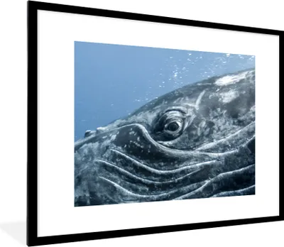 Produktbild von MuchoWow® MuchoWow® Gerahmtes Poster Wasser - Tiere - Buckelwal 80x60 cm - Poster mit zchwarzem Bilderrahmen - Schlafzimmer-Dekorationen - Fotoposter