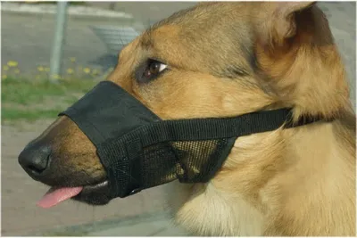 Produktbild von Beeztees Comfort Maulkorb - Hund - XL - 20-27 cm