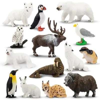 Produktbild von Toymany Polartiere 14 Teile Tierfiguren Set F-XBEIJI01-14P01