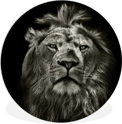 Produktbild von MuchoWow® Rundes Wandbild - Runde Bilder Löwe - Tiere - Porträt - Wildtiere - Schwarz und weiß Ø 30 cm Kreis Wanddekoration Kunststoff - Wandkreis - Wandschmuck - Schlafzimmer - Bilder - Der Kreis - Kunst für die Wohnung - Plastik - Kunstdruck - Wandbild
