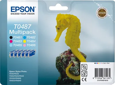 Immagine prodotto di Epson Multipack T0487 - confezione da 6 pezzi - 78 ml - nero, giallo, ciano, magenta, magenta chiaro, ciano chiaro