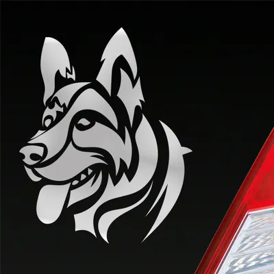 Produktbild von Auto Aufkleber Deutscher Schäferhund Hund Schaeferhund 10x12 cm Silber Sticker Heckscheibenaufkleber