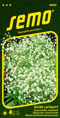 Obrázok produktu pre GYPSOMILKA metlinatá BIELA
