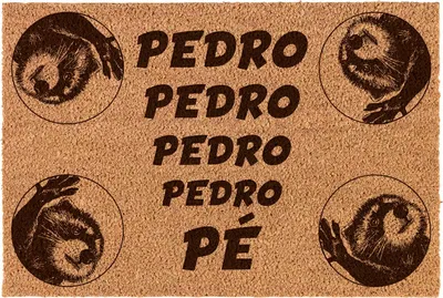 Produktbild von Kokos-Fußmatte „PEDRO PEDRO PEDRO PE“ 40x60 cm – Innenbereich