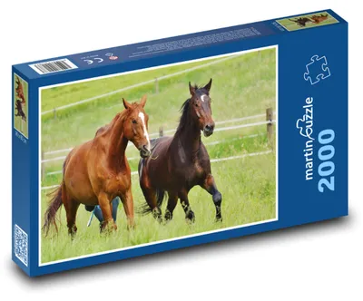 Zdjęcie produktu dla Puzzle 2000 Konie w galopie - martinpuzzle