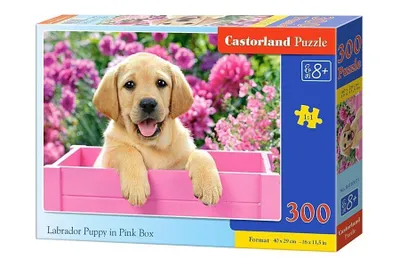 Immagine prodotto di Puzzle 300 pezzi Labrador cucciolo in scatola rosa 30071