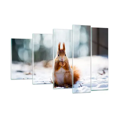 Produktbild von Bilder auf glas - Eichhörnchen Winter Schnee Essen - 150x100cm - Glasbilder - Wandbilder - Kunstdruck - Wanddekoration aus Glas - Glas Bilder - Wandbild auf Glas - GEG150x100-2798