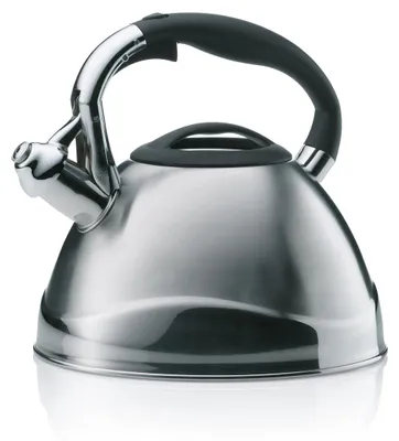 Wasserkocher mit Pfeife, 3 l, Edelstahl, Induktion, silber, 22 cm