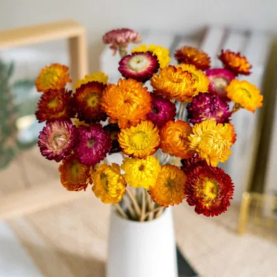 Getrocknetes Gänseblümchen-Bouquet, 20 Stück, mehrfarbig, 43 cm