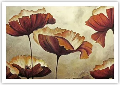 Produktbild von Poster - Poster ohne Rahmen - Mohn Blume Wiese - 100x70 cm - Wand Bild - Wanddeko - Wandbilder - Kunstposter - Wandposter - Bilder - Kunstdruck - Wanddekoration - Wandbild - P2XAA100x70-3760