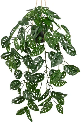 Obrázek produktu pro Umělá závěsná rostlina Monstera, 94 cm, zelená, dekorativní rostlina