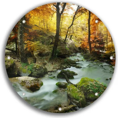 Produktbild von Wallario rundes Outdoor-Poster für Garten oder Balkon, Motiv Wasserfall mit moosbedeckten Steinen im Herbstwald, 30 cm Durchmesser