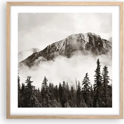 Produktbild von Gerahmtes Poster - Rahmen in heller Eiche - Nebel Berg Wald - 50x50 cm - Wand Bild - Wanddeko - Wandbilder - Kunstposter - Wandposter - Bilderrahmen - Bilder - Kunstdruck - P2NAC50x50-4936