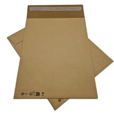 Image de Pochettes 24 260 x 330 mm sans fenêtre Kraft 90gr - lot de 100
