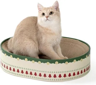 Image de Gamelle pour chat en carton